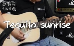 Tequila Sunrise吉他谱_老鹰乐队_G调_弹唱