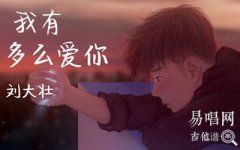 刘大壮《我有多么爱你》吉他谱_G调原版_弹唱六