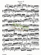 巴赫小提琴协奏曲2