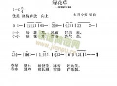 绿花草 免费电子琴_五线谱