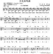 世界名曲双谱式 月光奏鸣曲（贝多芬曲）