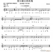 世界名曲双谱式 ：夏日最后的玫瑰（弗洛托曲）