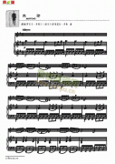 流动-钢伴谱 弦乐类 小提琴